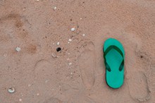 沙滩人字拖鞋图片素材