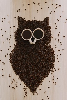 创意咖啡猫头鹰造型高清图