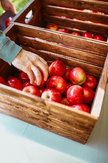 新鲜漂亮红苹果 新鲜漂亮红苹果大全图片下载