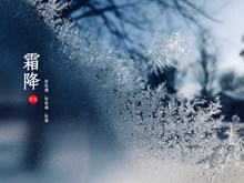 霜降节气养生图片大全