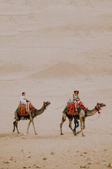 游客沙漠骑骆驼 游客沙漠骑骆驼大全精美图片