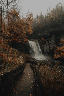 山水落叶秋天风景图片素材