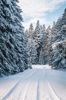 冬天的雪景图片下载