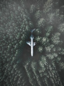 丛林中的飞机图片下载