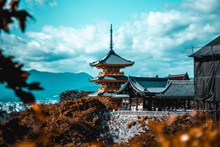 日本清水寺旅游景点高清图片