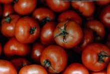 自然成熟西红柿 自然成熟西红柿大全高清图片