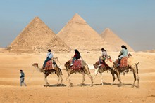 金字塔前骑骆驼图片下载
