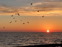 海上落日夕阳唯美精美图片