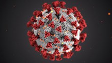 新型冠状病毒显微镜高清图片