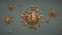 冠状病毒立体结构高清图片