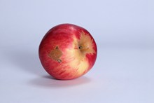 一个红色苹果欣赏精美图片