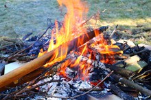 燃烧木头火堆图片下载