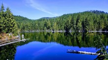 静谧湖泊绿色风景图片下载