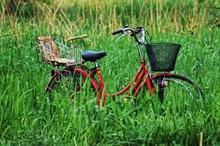 草丛里的自行车高清图