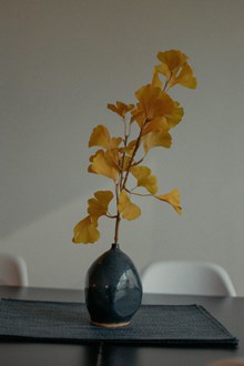 日式花瓶插花艺术图片大全