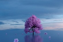 紫色树木唯美意境图片素材