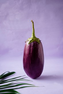 紫茄子图片素材