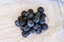 黑色蓝莓果子图片下载