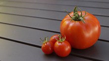 大小西红柿素材高清图