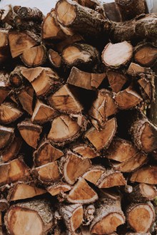 一堆木材木头精美图片