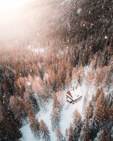 冬季树林小木屋雪景高清图