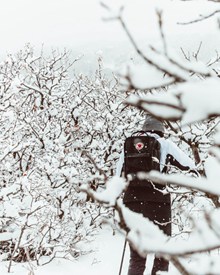 冬季雪地徒步旅行图片素材