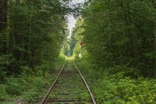 森林废弃铁路高清图