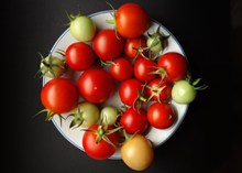 圆形小西红柿高清图片