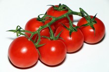 红色西红柿水果图片大全