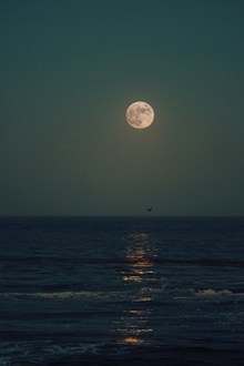 海上升明月图片下载
