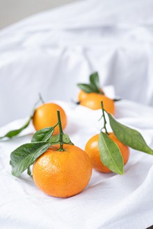 新鲜橙色柑橘图片素材