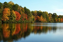 秋季湖泊树木景观图片素材