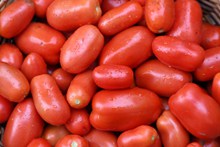 新鲜红色小番茄精美图片