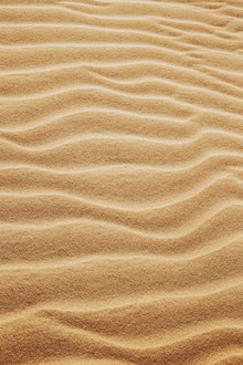 沙漠中的细沙丘图片下载