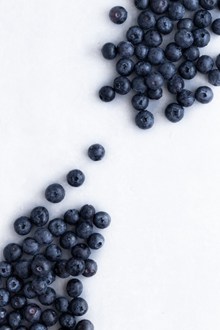 新鲜蓝莓背景精美图片