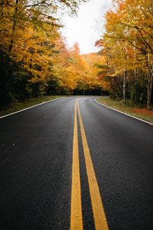 秋天树林公路精美图片