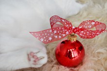 红色圣诞彩球蝴蝶结高清图片