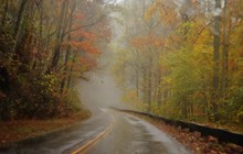 秋天清晨雾气公路风景精美图片
