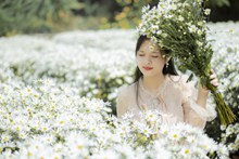 白色菊花海美女人体摄影图片素材