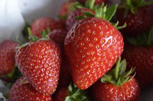 草莓食物水果图片下载