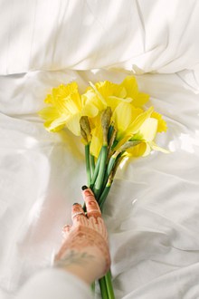 黄色水仙花写真高清图片