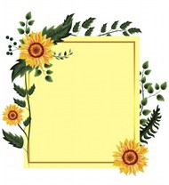 向日葵边框黄色底纹图片素材