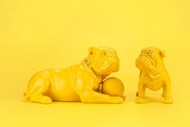 黄色斗牛犬雕塑精美图片