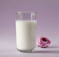 粉色玫瑰与牛奶图片下载