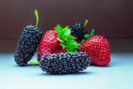 新鲜蓝莓草莓水果图片素材