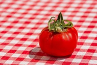 桌面上红色番茄精美图片