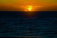 海面日落美景图片素材