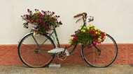 单车花艺盆栽图片素材