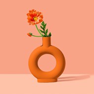 橙色花瓶插花高清图片