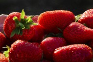 成熟红草莓近景精美图片